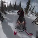 Illustration for article titled The Future of Mobility Is Obviously 200 HP Turbocharged Snowmobiles